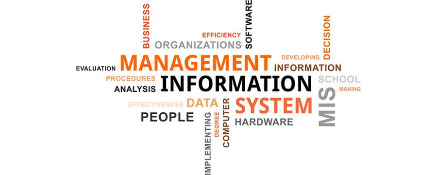 حكاية  تخصص نظم المعلومات الإدارية Management Information System